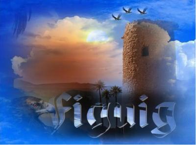 figuig city